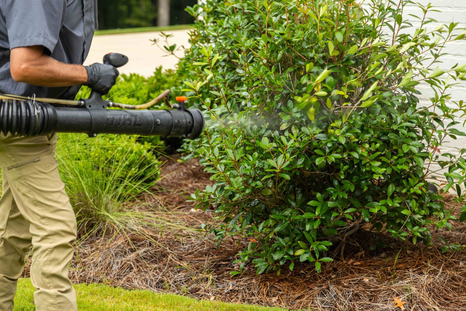 backpack blower pest control fog truck mosquito spray technician crew 11