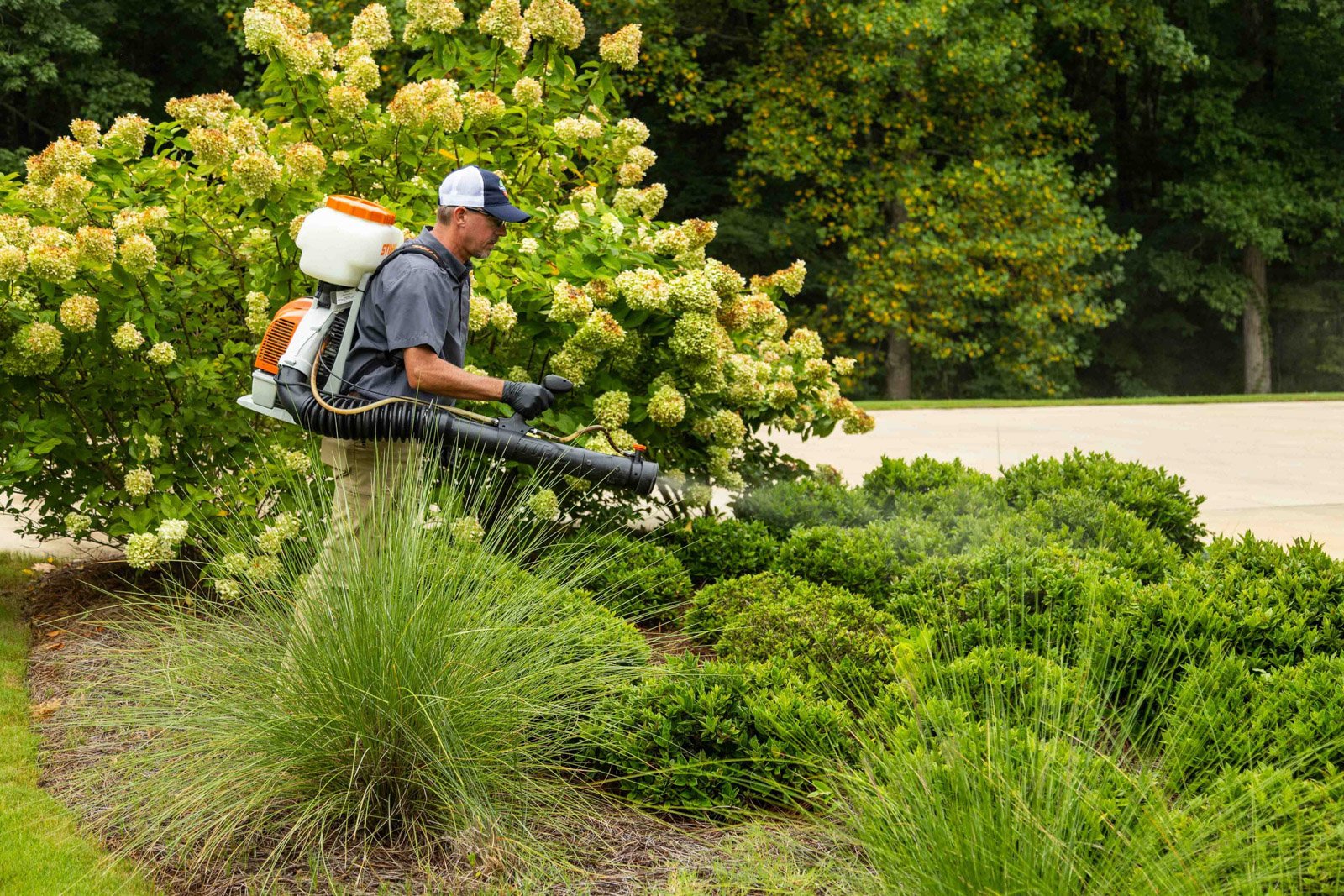 pest control technician spraying mosquito treatment