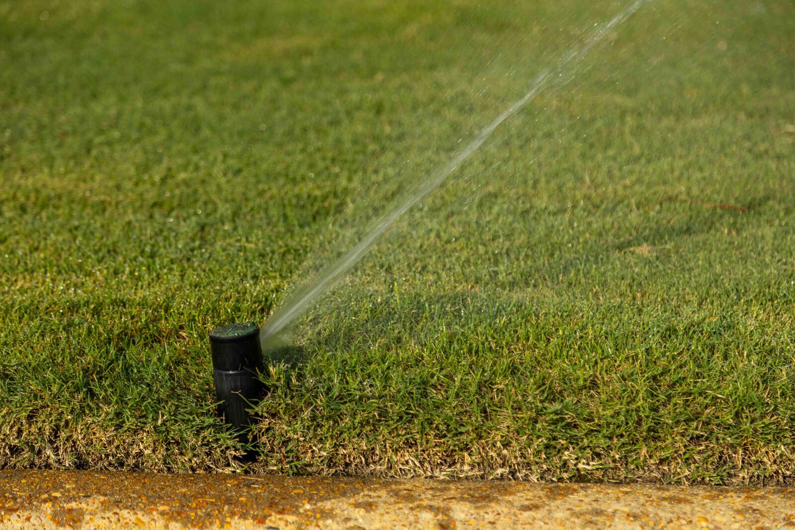 green lawn sprinkler irrigation water details spray turf 2