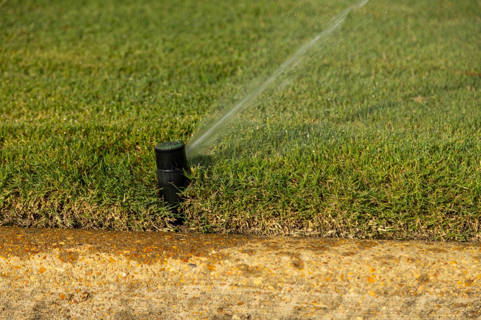 green lawn sprinkler irrigation water details spray turf