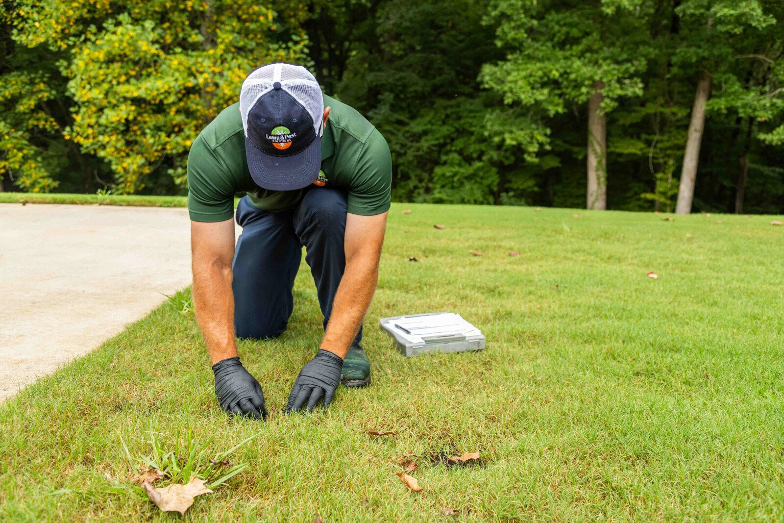 lawn care technician inspection grass disease 3