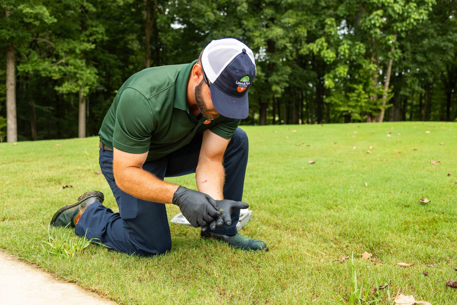 lawn care technician inspection grass disease 4