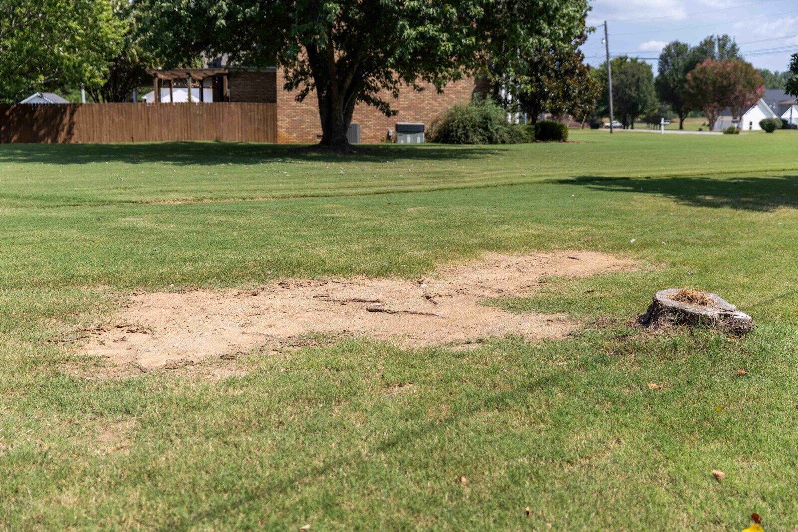 lawn care thin dead spot brown grass bare stump dirt patch-1