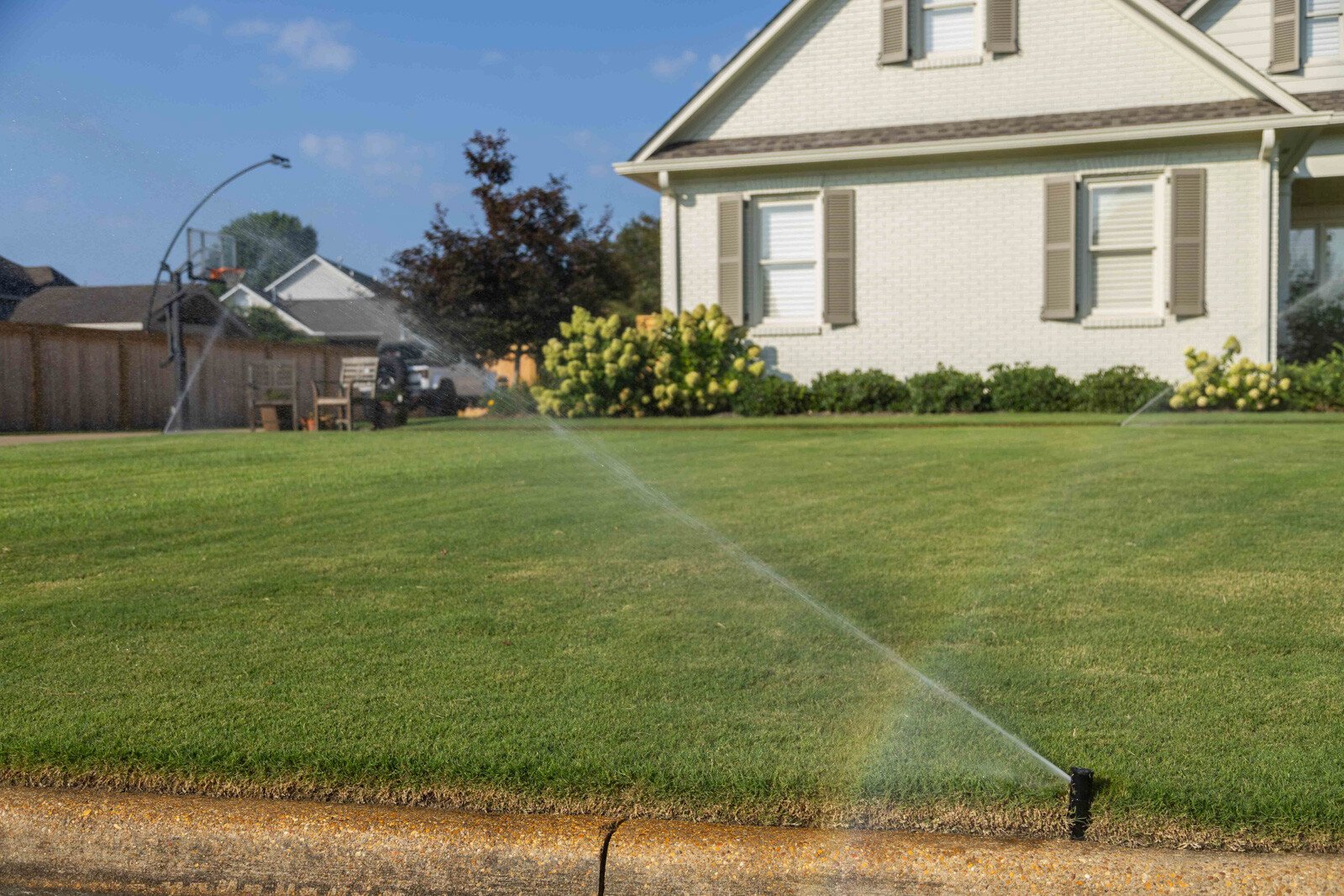 nice green lawn sprinkler irrigation water spray home yard