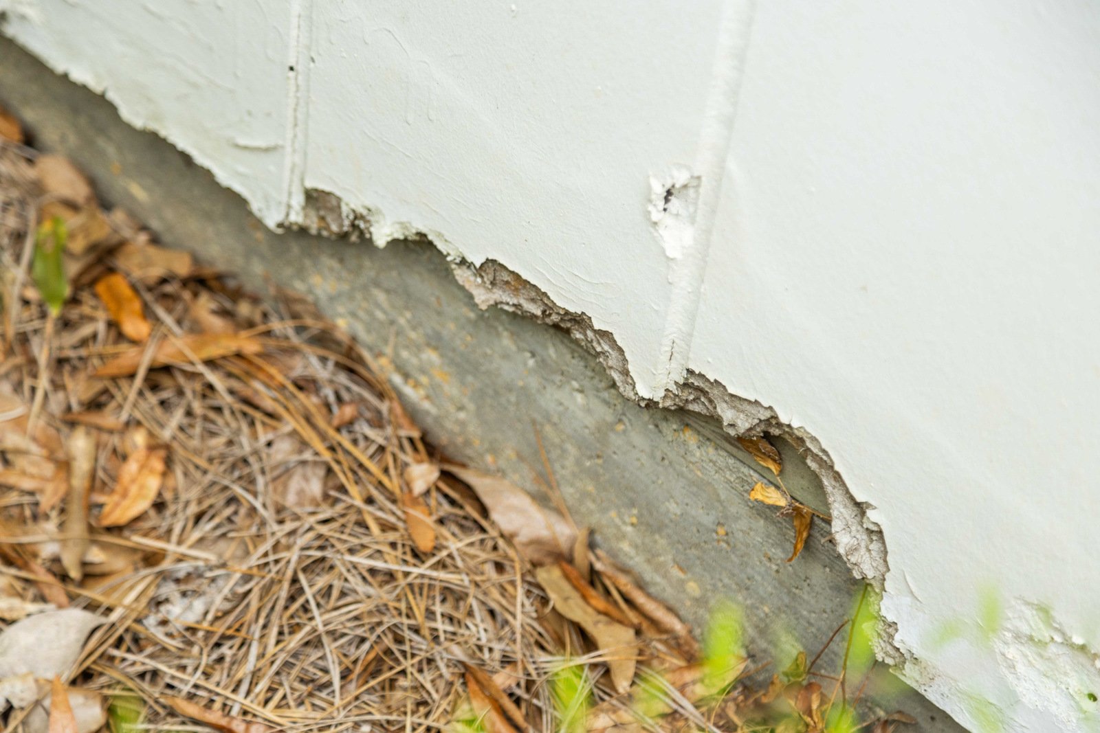 perimter detail rotting wood siding damage
