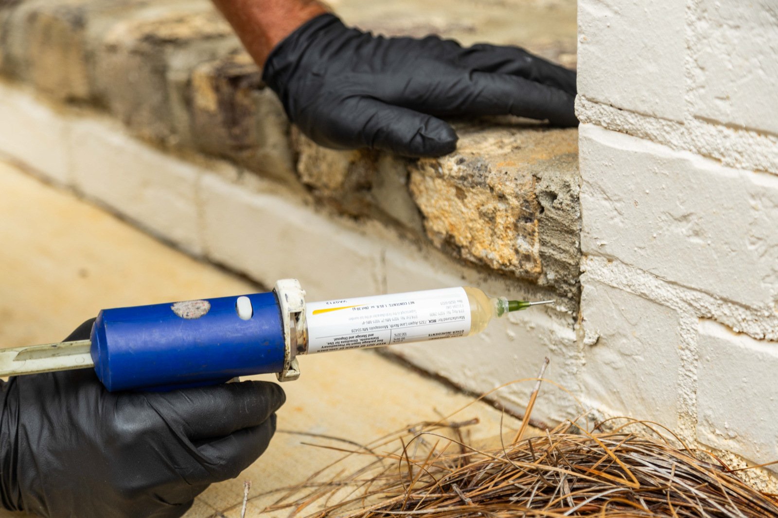 pest control outside exterior ant baiting perimter home technician crew 2