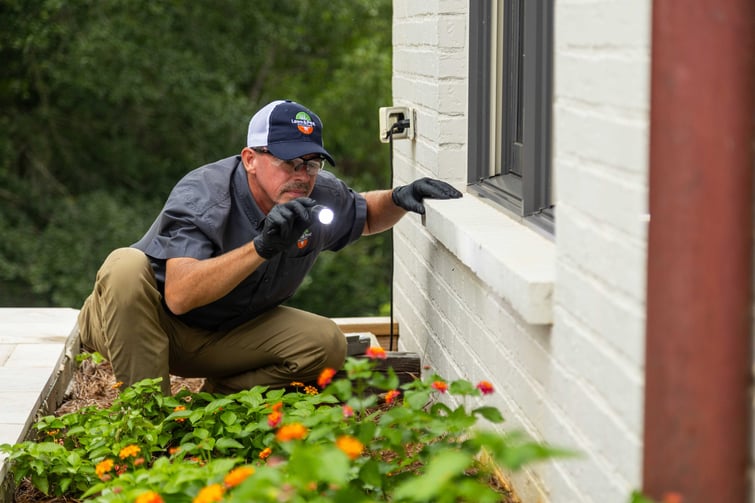 pest control tech crew window flower bed inspection