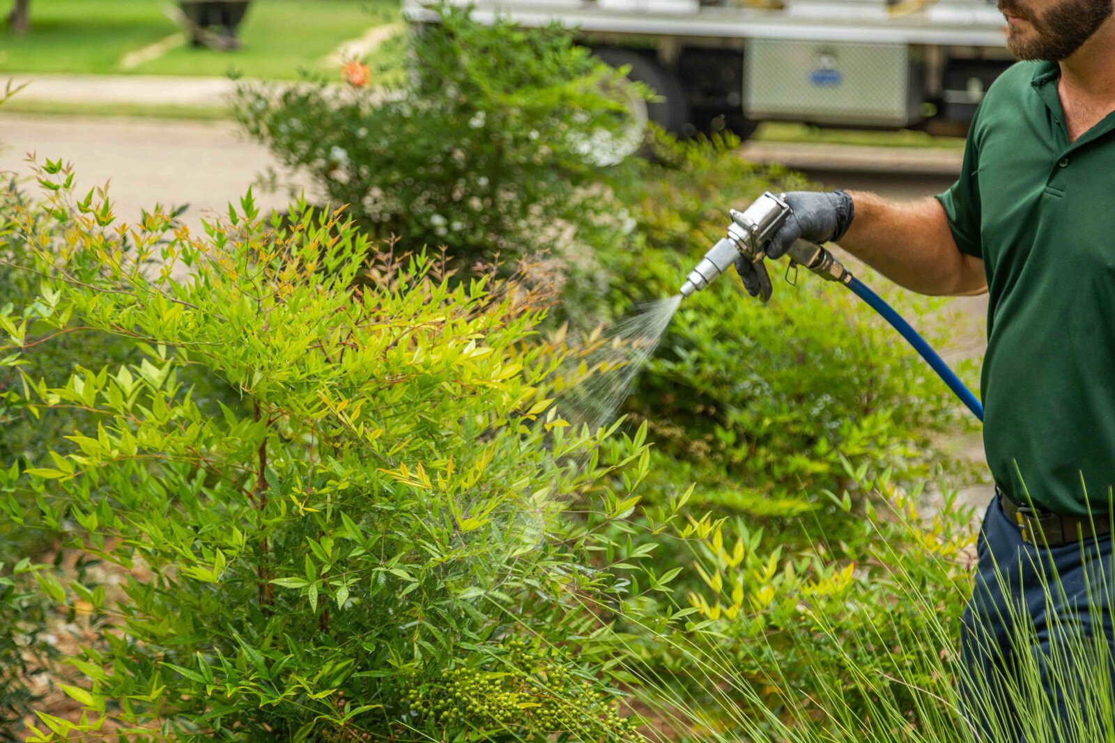 plant health care technician crew spray hose treatment liquid shrubs beds 6