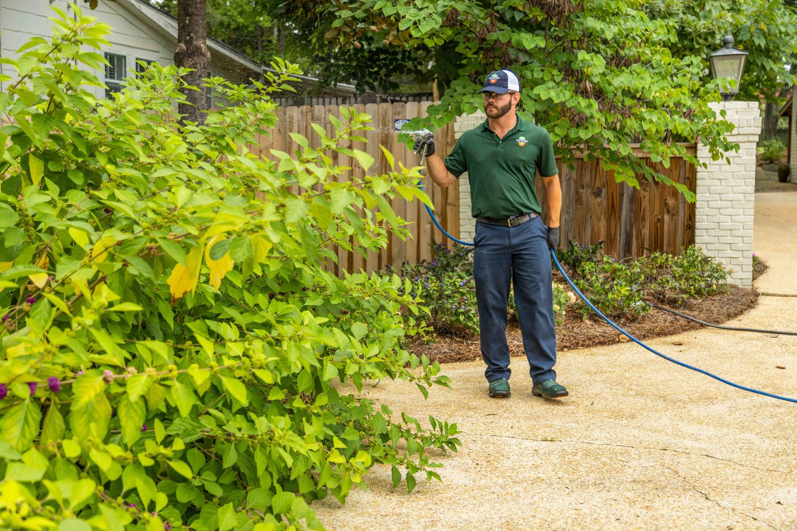 plant health care technician crew spray hose treatment liquid shrubs beds 7
