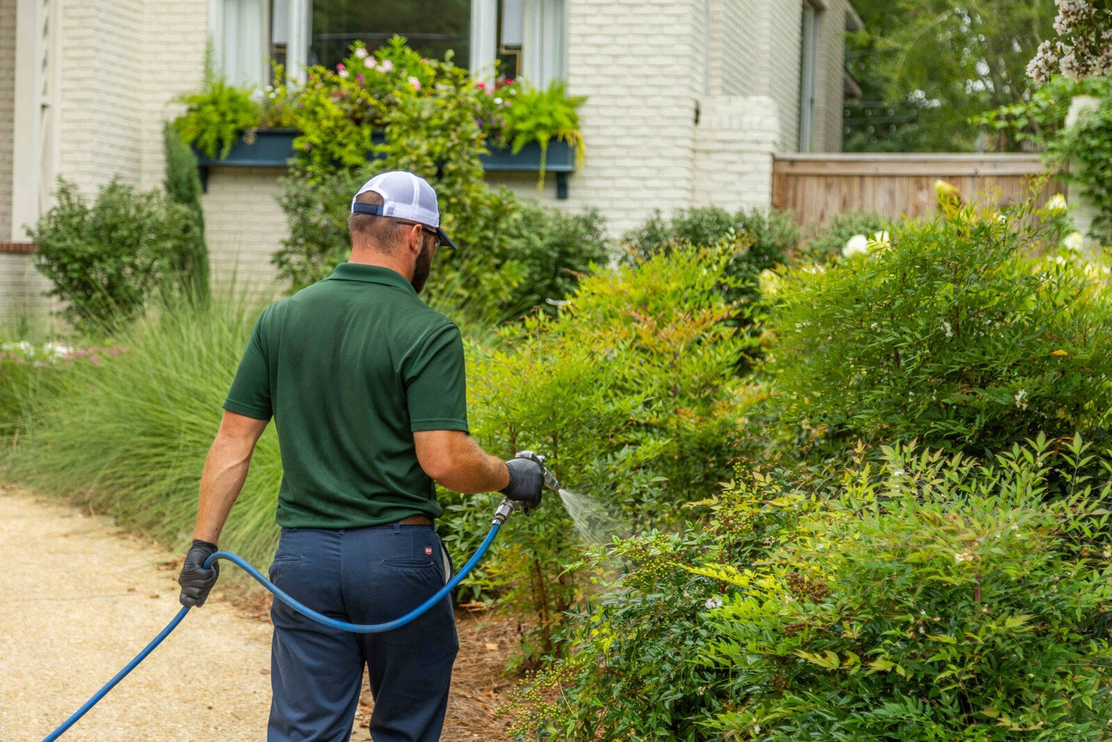 plant health care technician crew spray hose treatment liquid shrubs beds