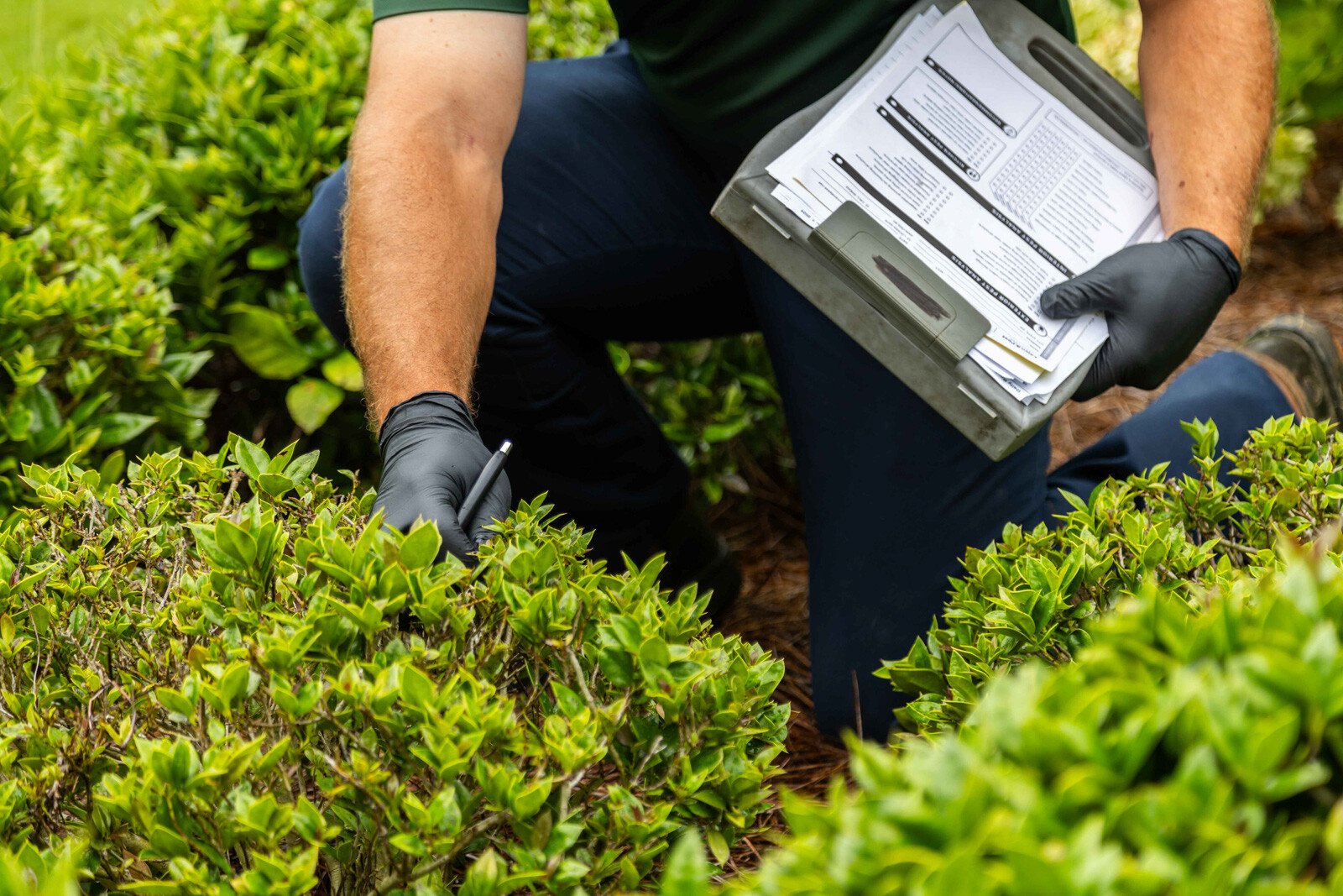 plant health care technician inspection truck shrubs detail 2