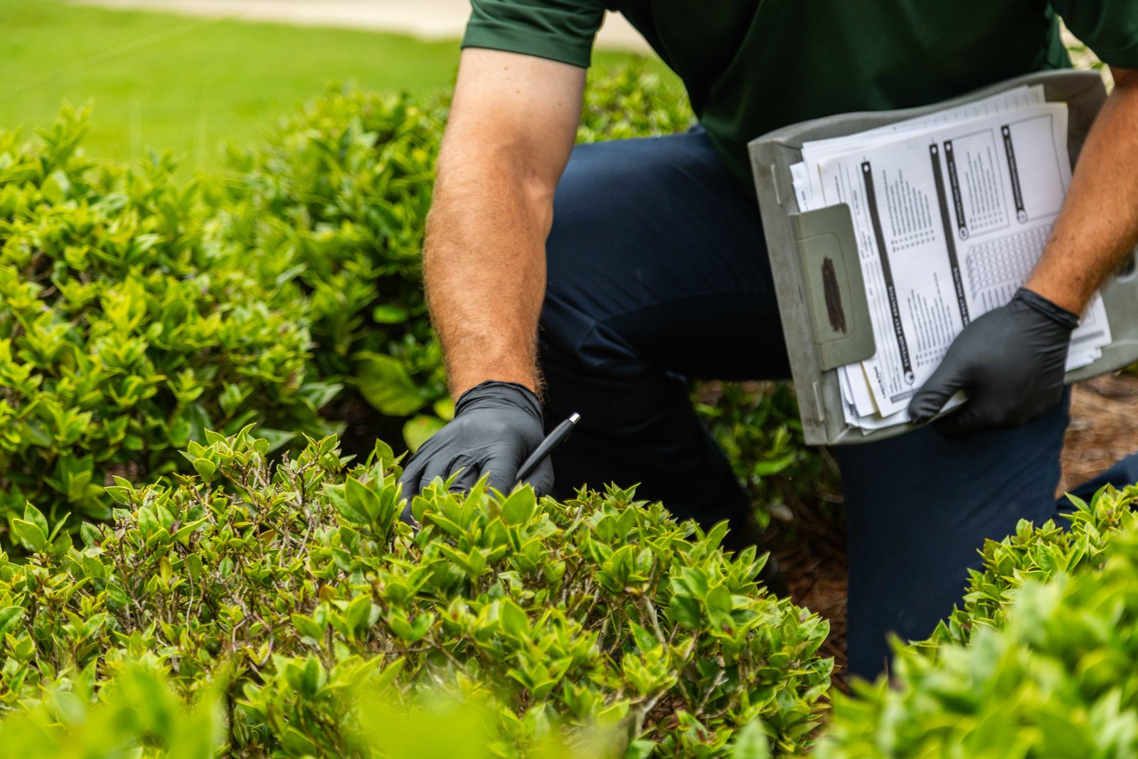 plant health care technician inspection truck shrubs detail