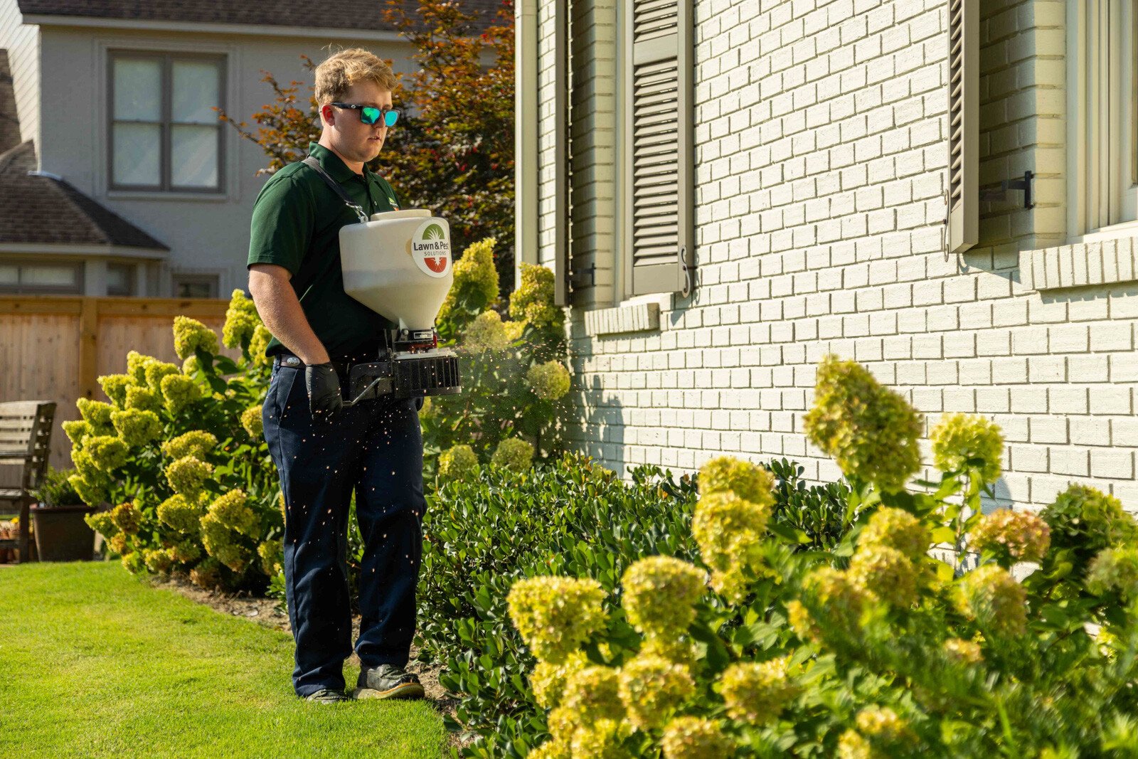 technician plant health care fertilizer spreader grinder shrubs treatment granular beds hydrangea home 2