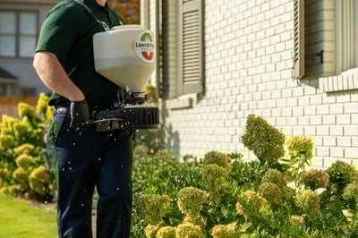 technician plant health care fertilizer spreader grinder shrubs treatment granular beds hydrangea home 3