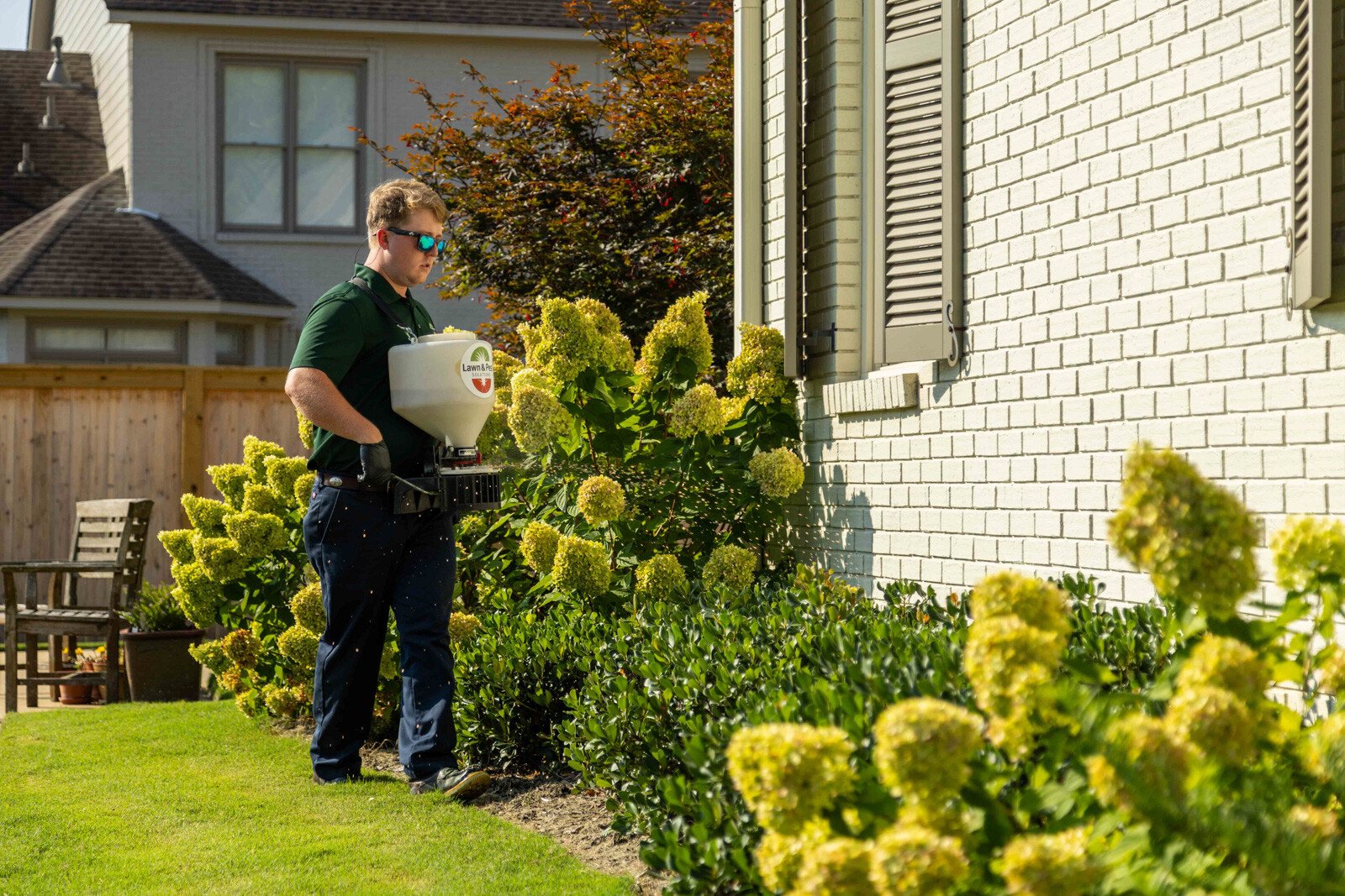 technician plant health care fertilizer spreader grinder shrubs treatment granular beds hydrangea home