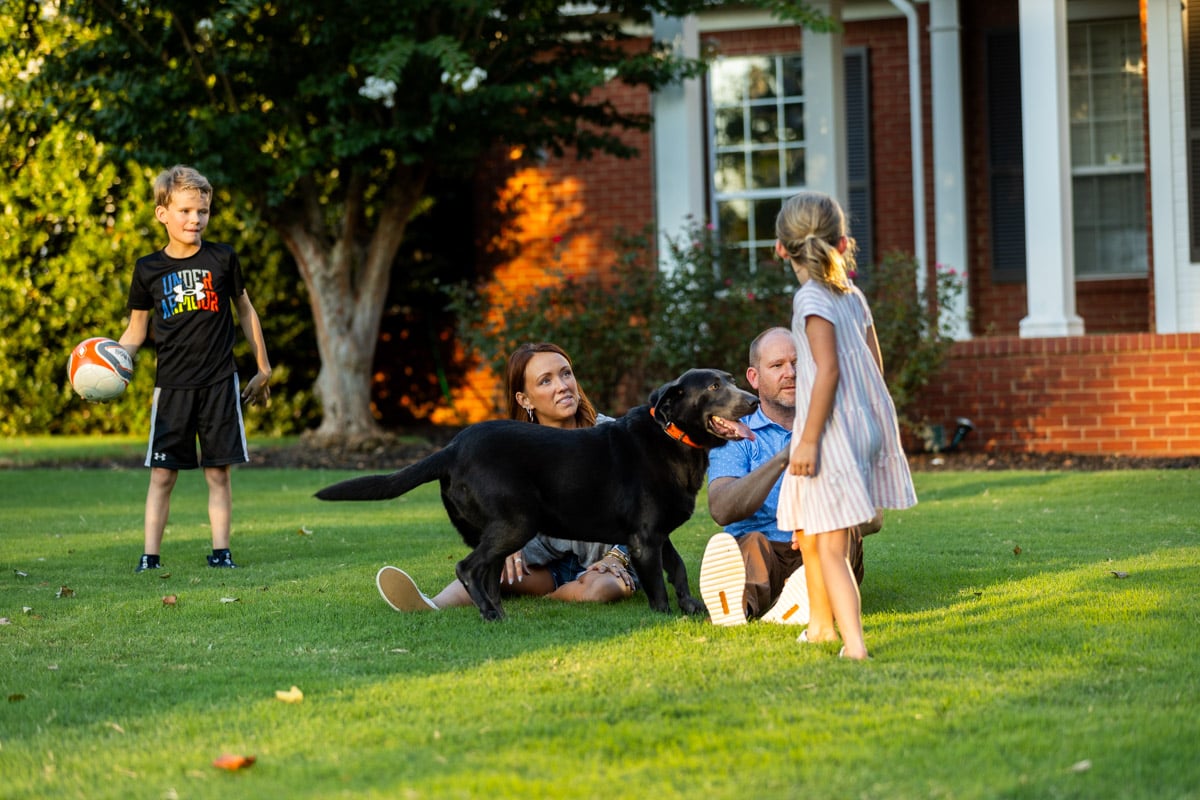 lawn care customers family dog in lawn nice lawn 3
