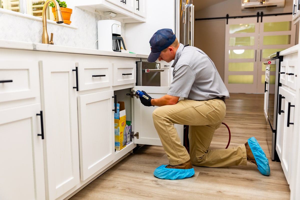 Is Pest Control Safe for Dogs? Pet-Safe Tips for Tupelo, MS Homeowners