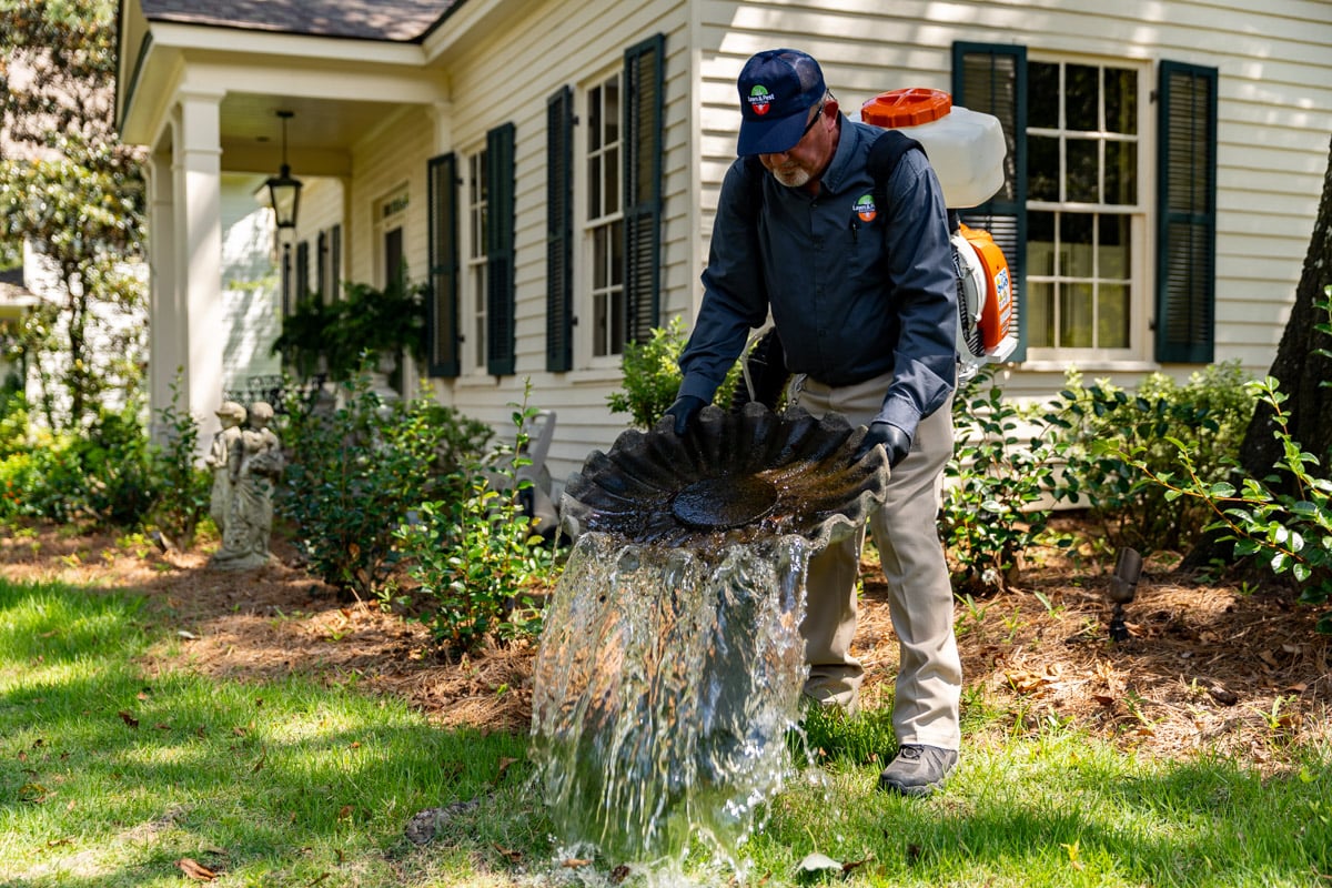 pest control technician mosquito control inspecting water birdbath 4