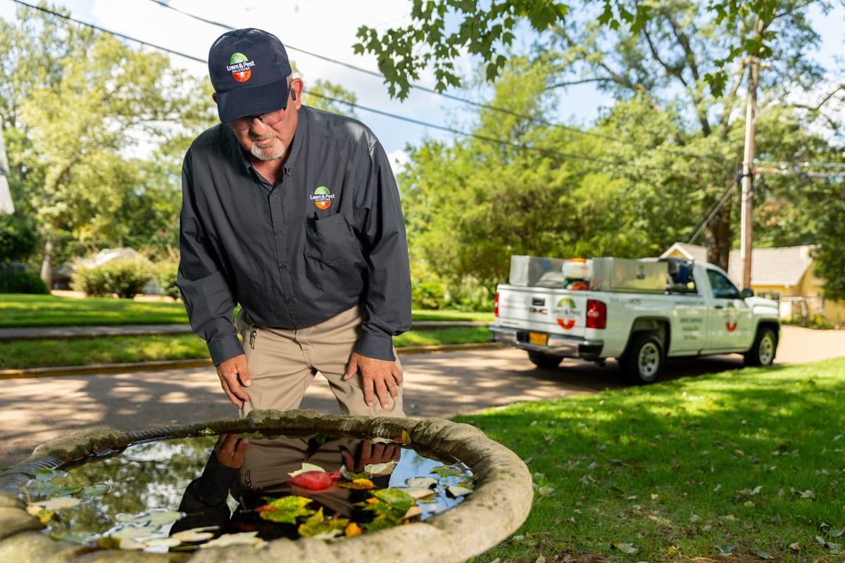 pest control technician mosquito control inspecting water birdbath