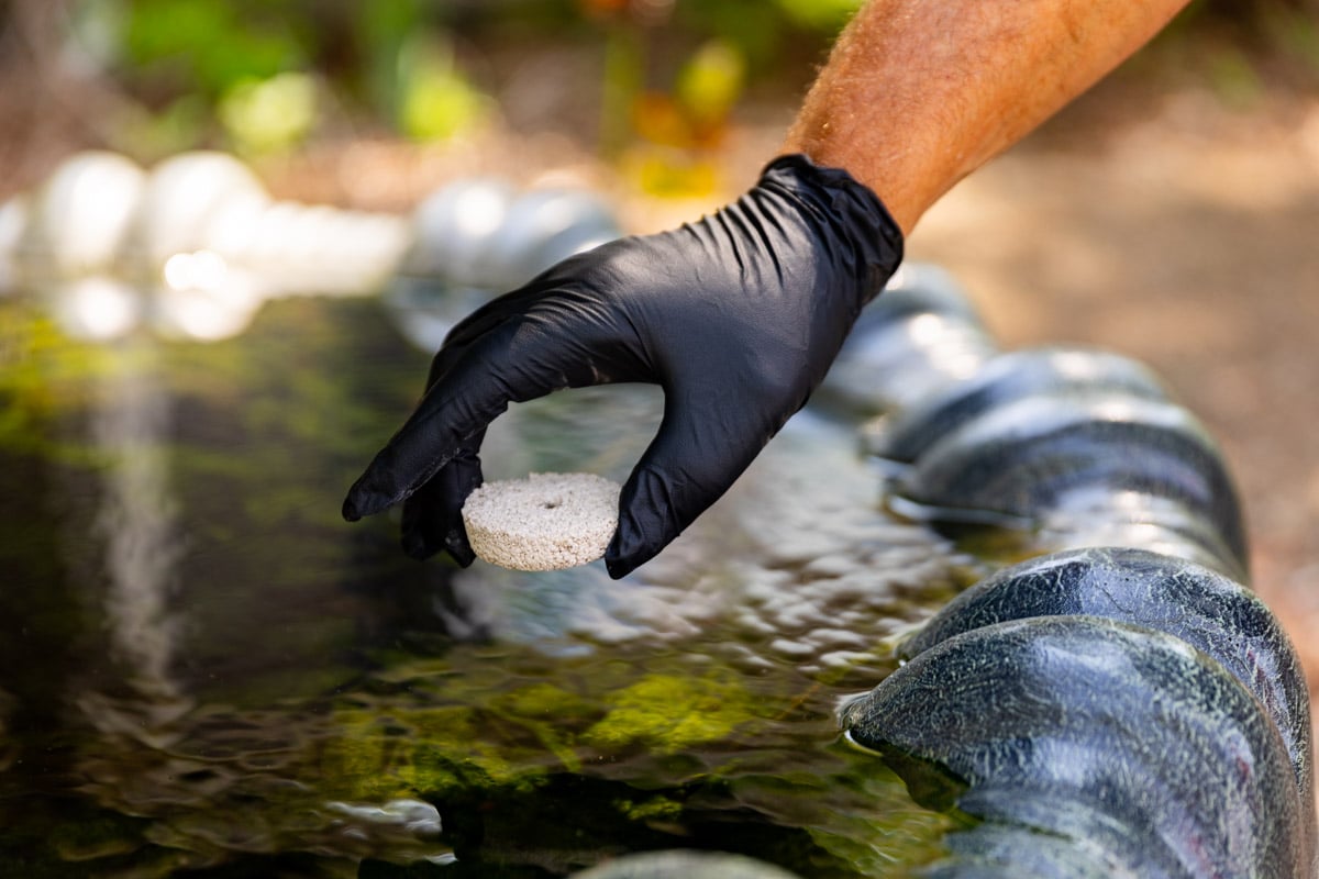pest control technician placing mosquito control in water