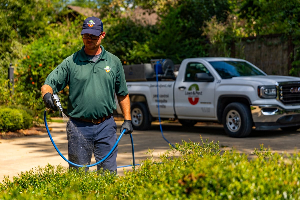 plant health care technician spraying shrubs