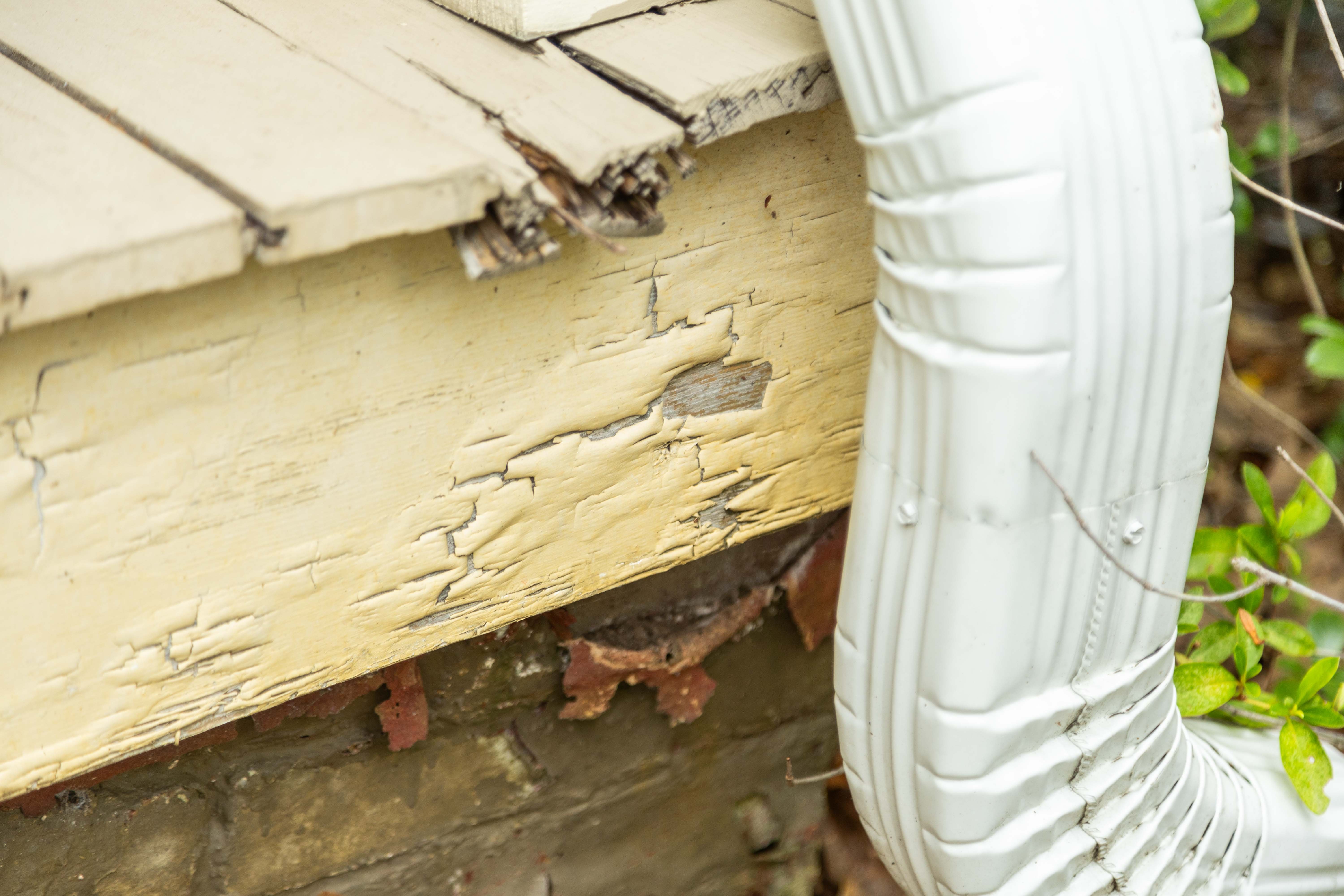 deck detail rotting wood damage