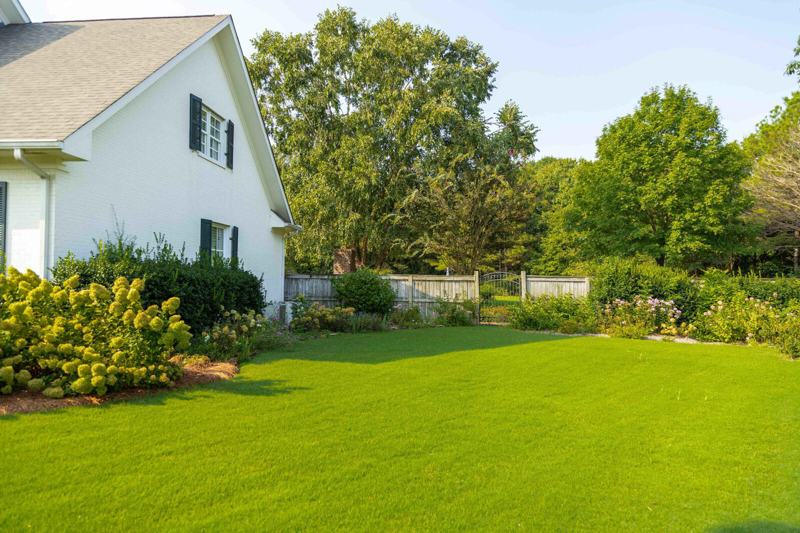 nice green lawn home plants shrubs trees fence 2-1