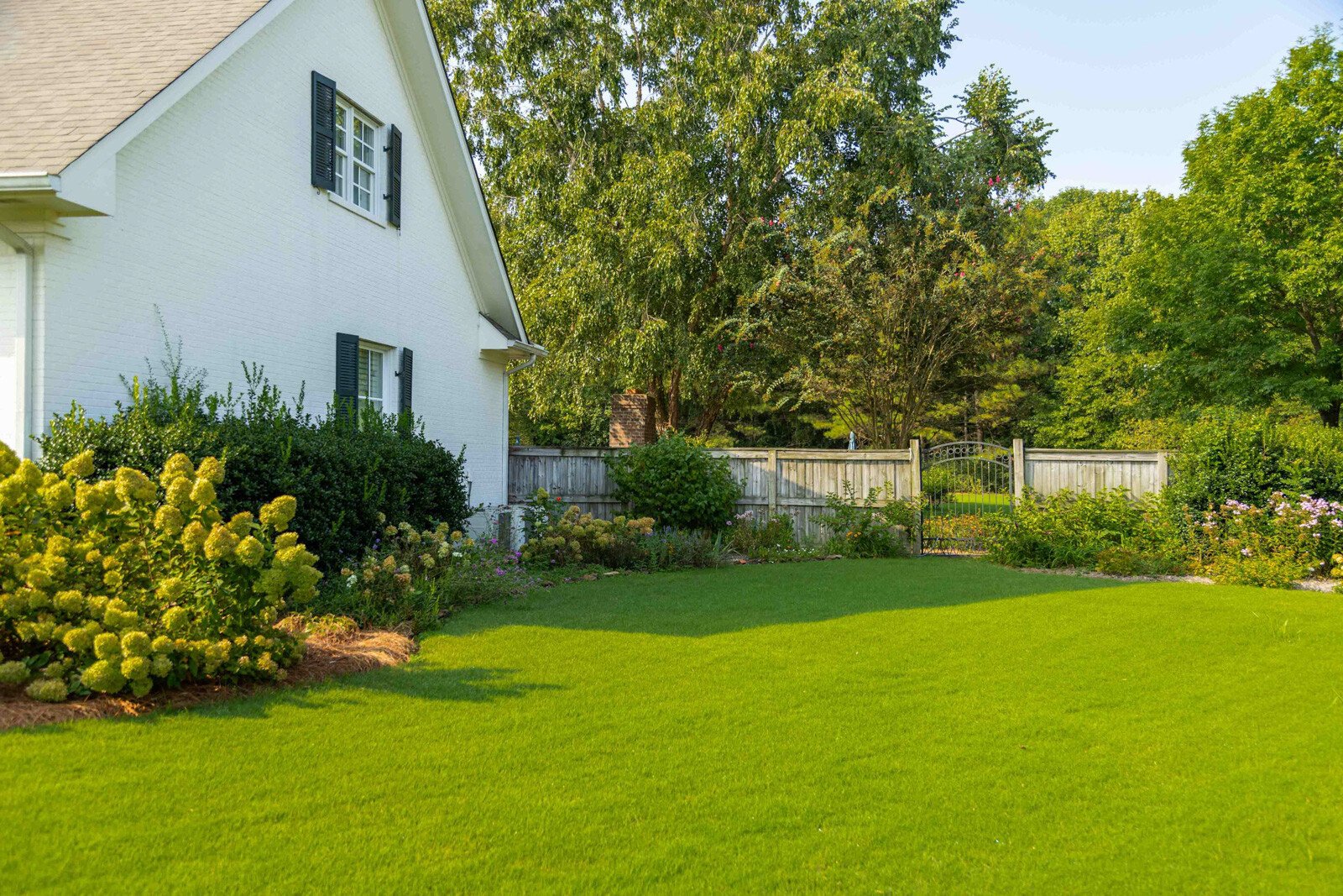 nice green lawn home plants shrubs trees fence-1