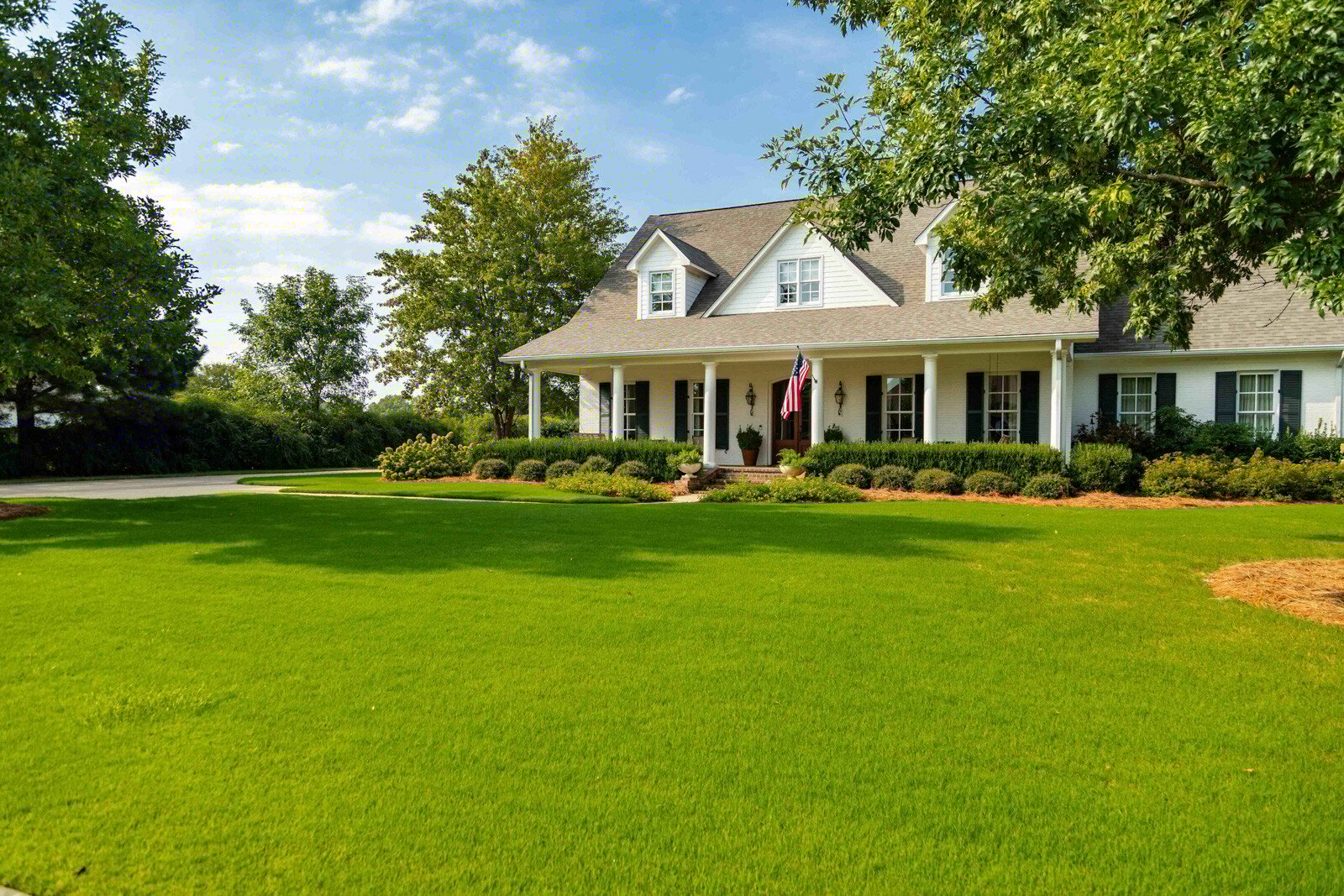 nice lawn green turf landscape trees shrubs home house 2-1
