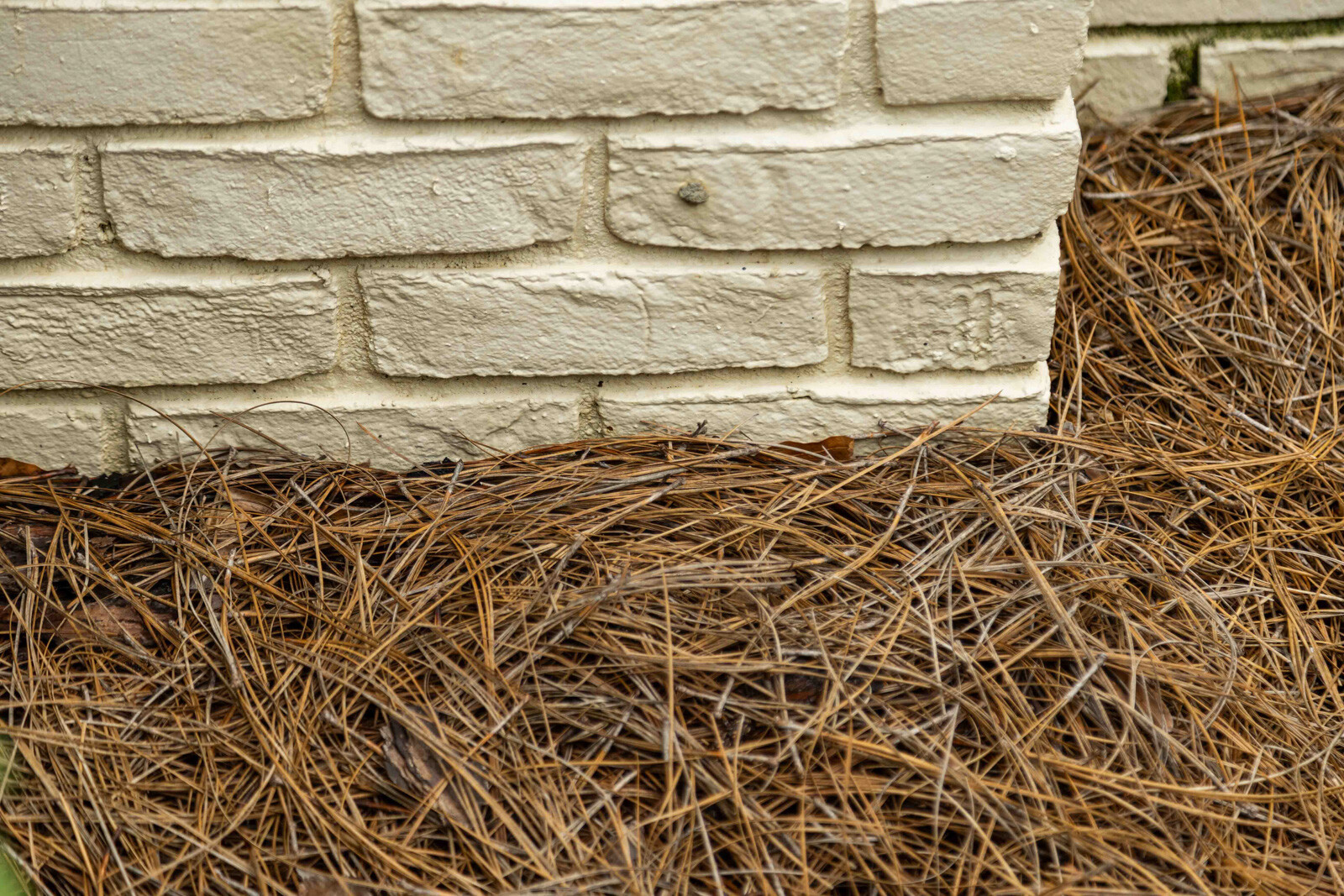 perimter mulch bed brick detail