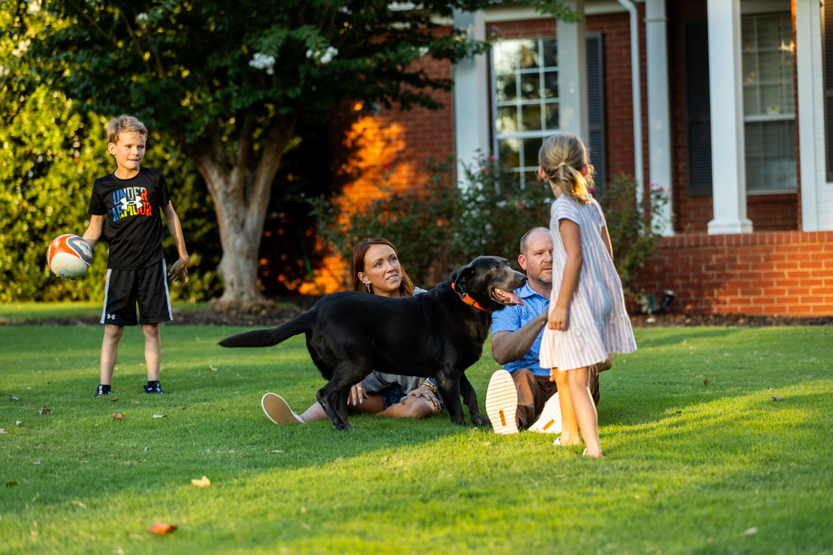 lawn care customers family dog in lawn nice lawn  3