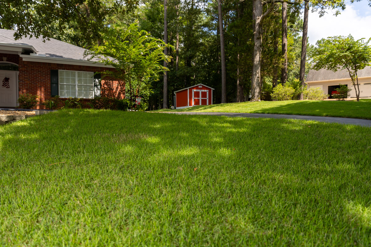 lawn care nice lawn home and trees