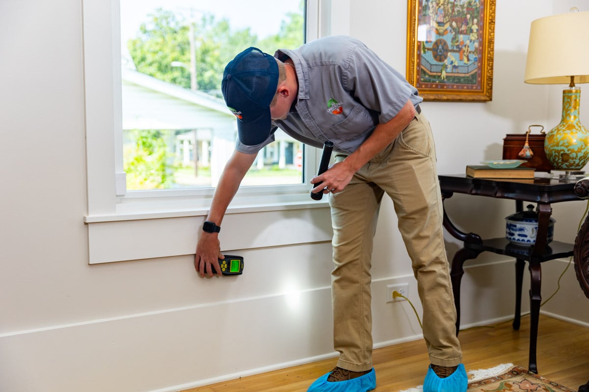 pest control technician indoors termite control moisture meter