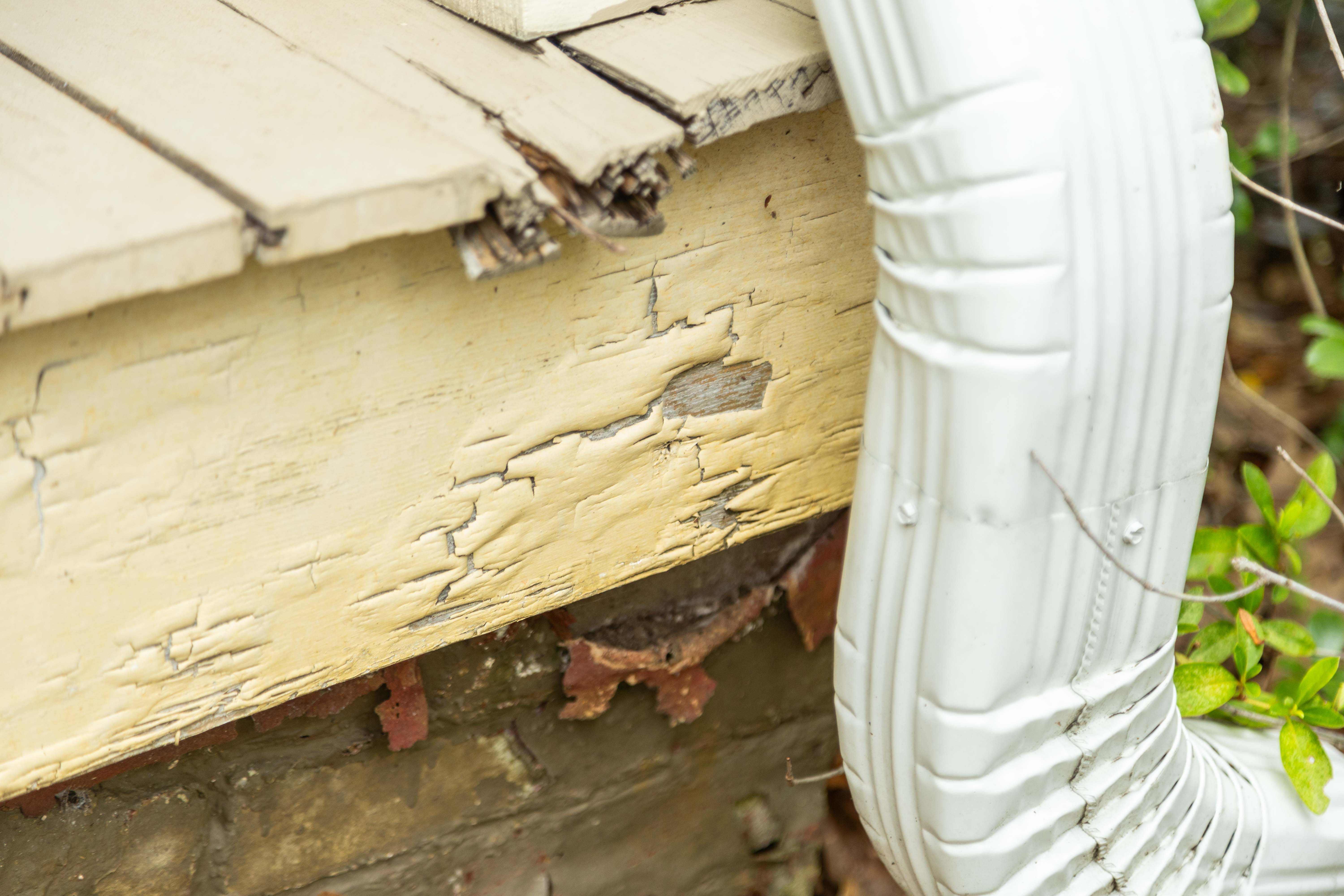 deck detail rotting wood damage